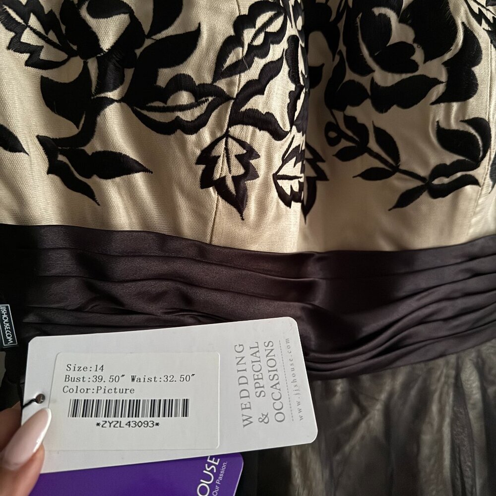 NEW JJ's House Princess Round Neck Lace Tulle Floor Length Gown SZ 14 - Picture 3 of 6
